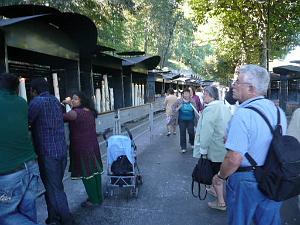LOURDES 2010   (17)